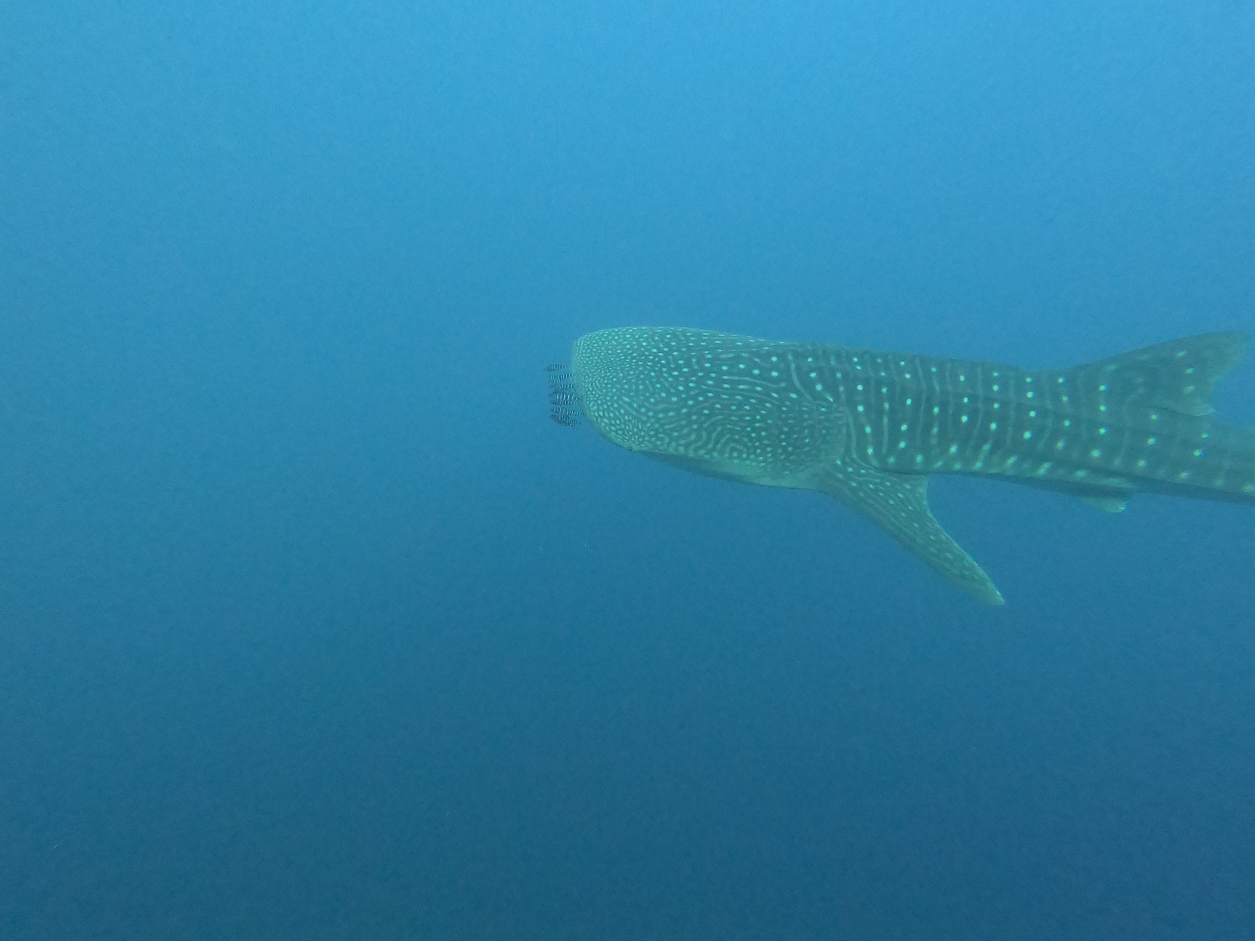 Погружение