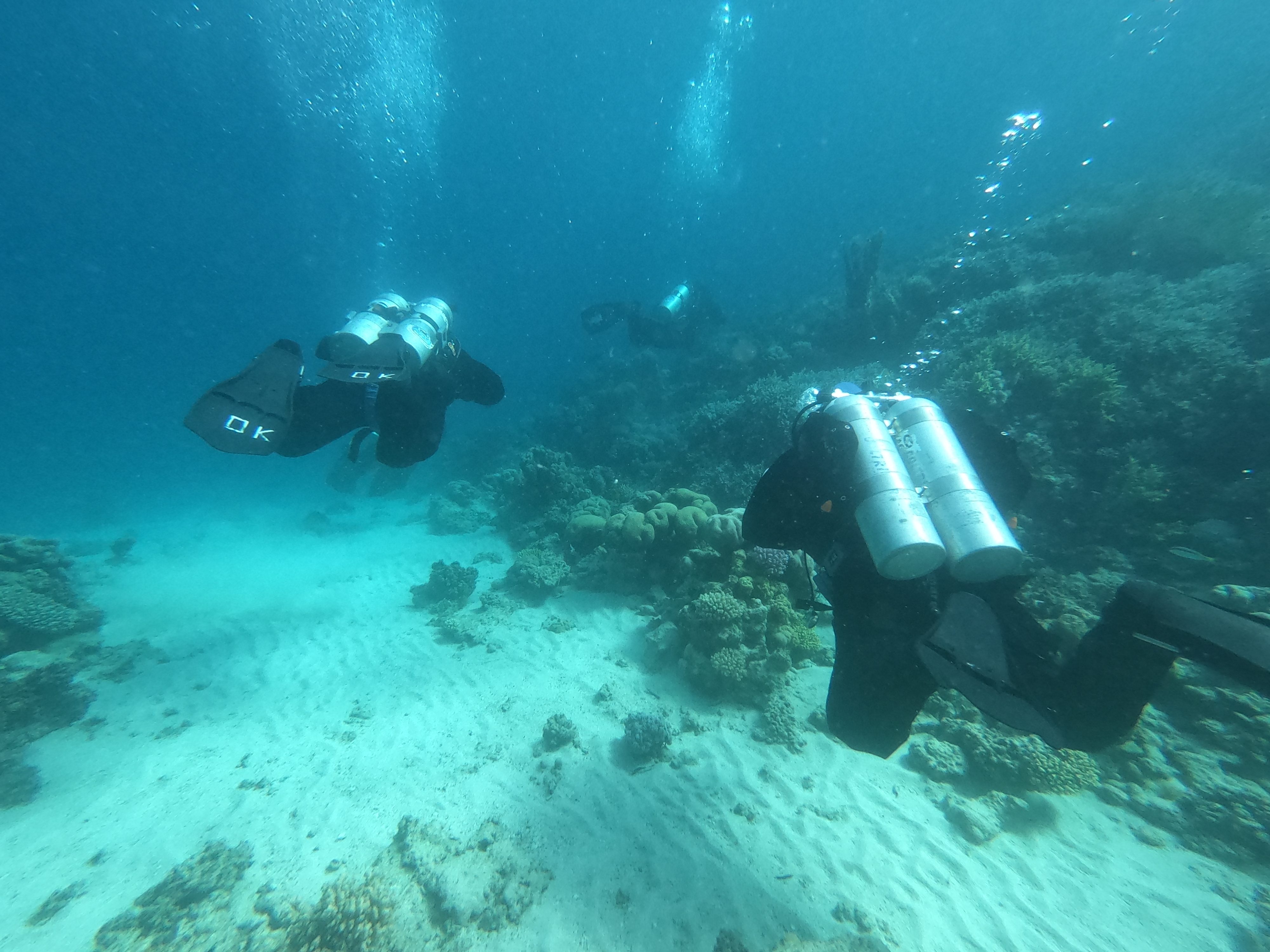 Подводный мир